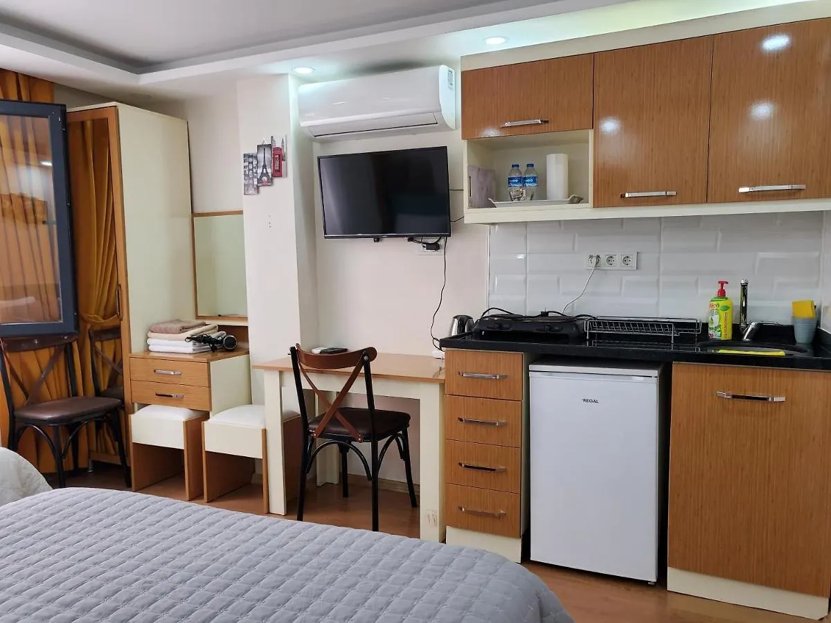 Maniz Studio Apart Istanbul Apartment